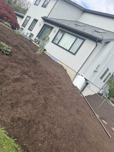 Large freshly mulched residential landscape bed by Justin's Lawn Service