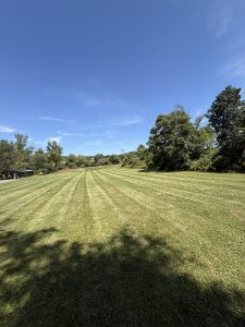 Large freshly mowed lawn with clean mowing stripes by Justin's Lawn Service