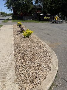 Commercial stone landscaping with shrubs by Justin's Lawn Service