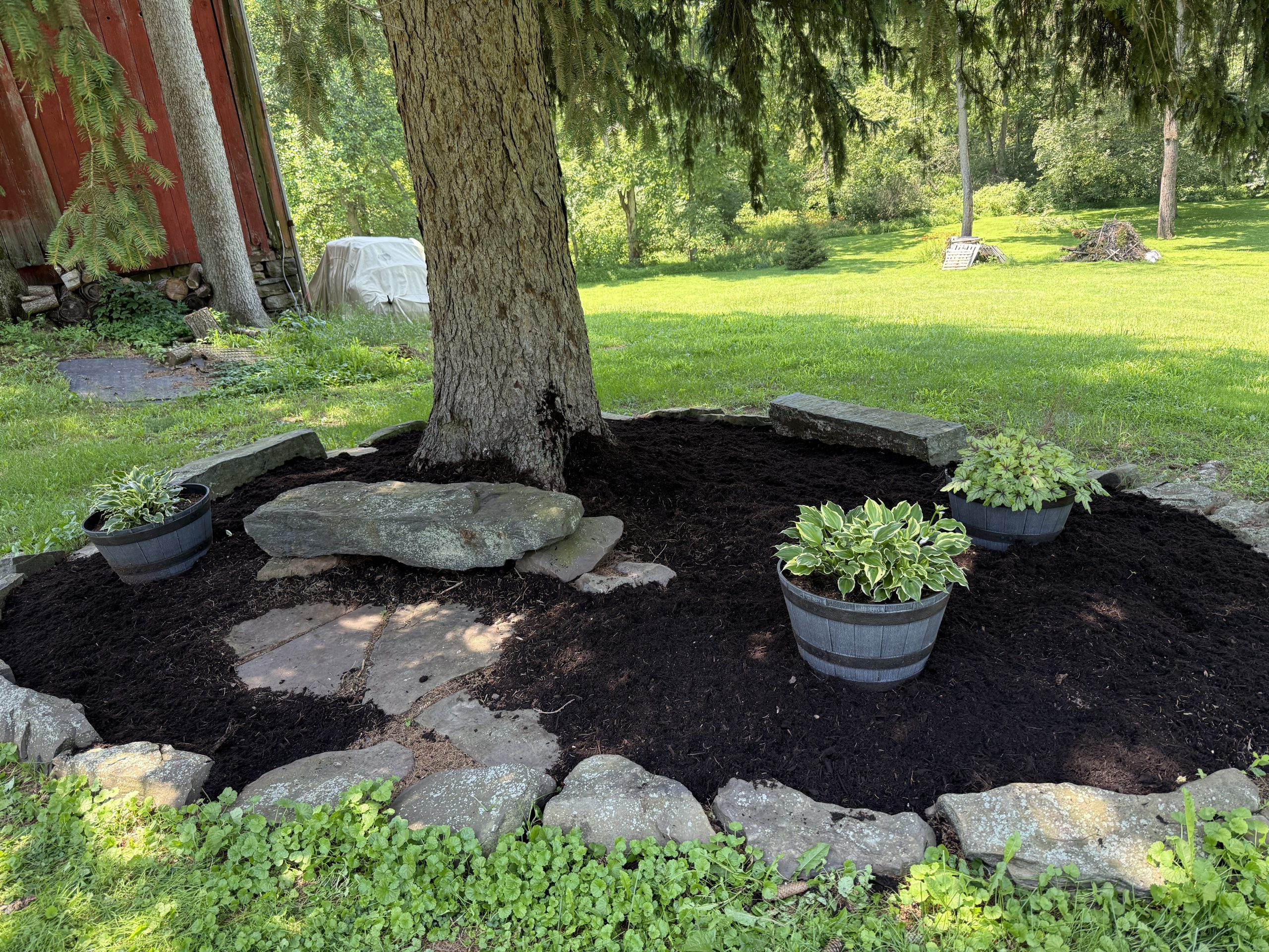 Fresh mulch around tree and planter barrels by Justin's Lawn Service