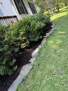 Mulched landscape bed with shrubs by Justin's Lawn Service