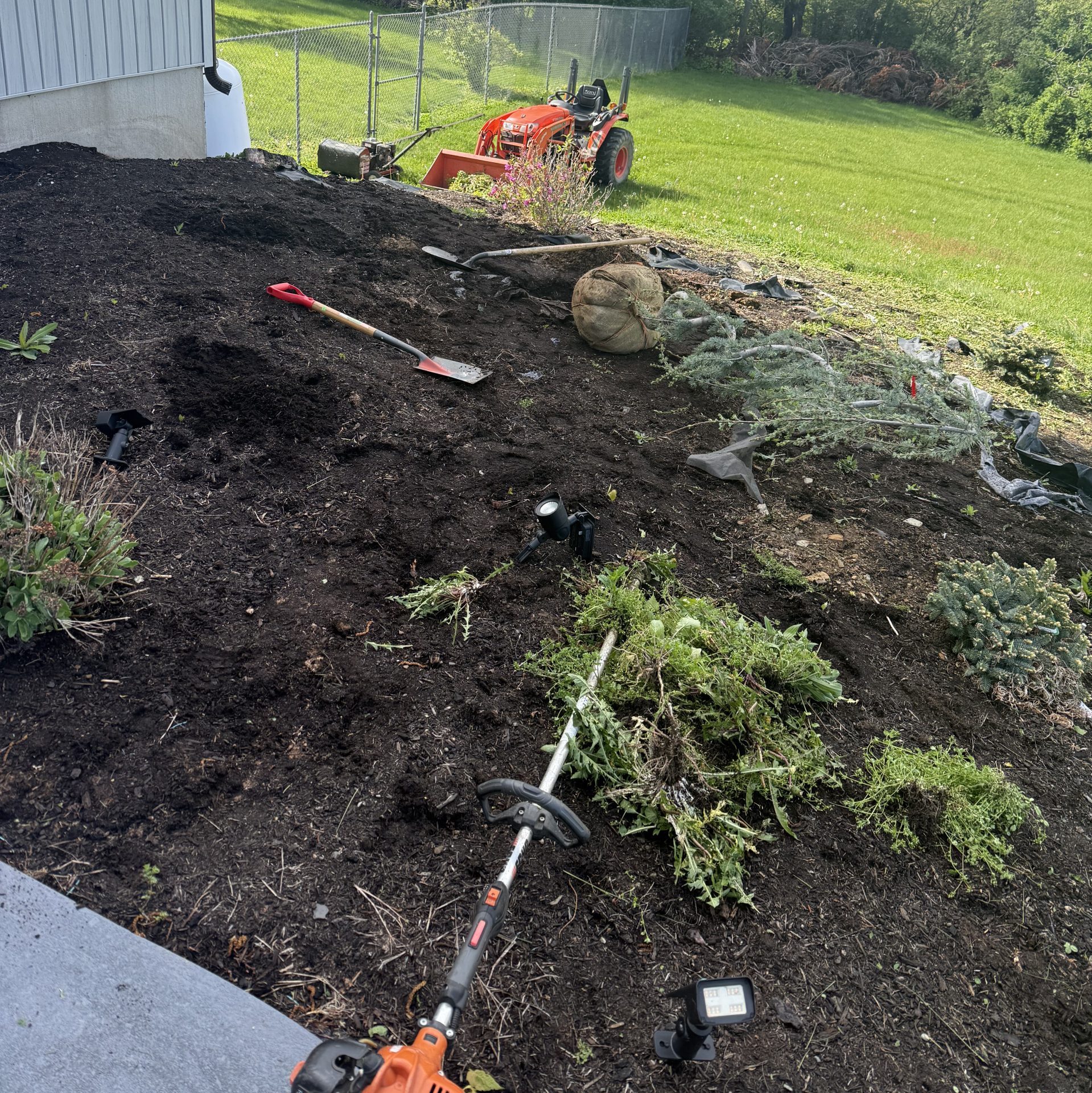 Landscape bed cleanup and mulch preparation by Justin's Lawn Service