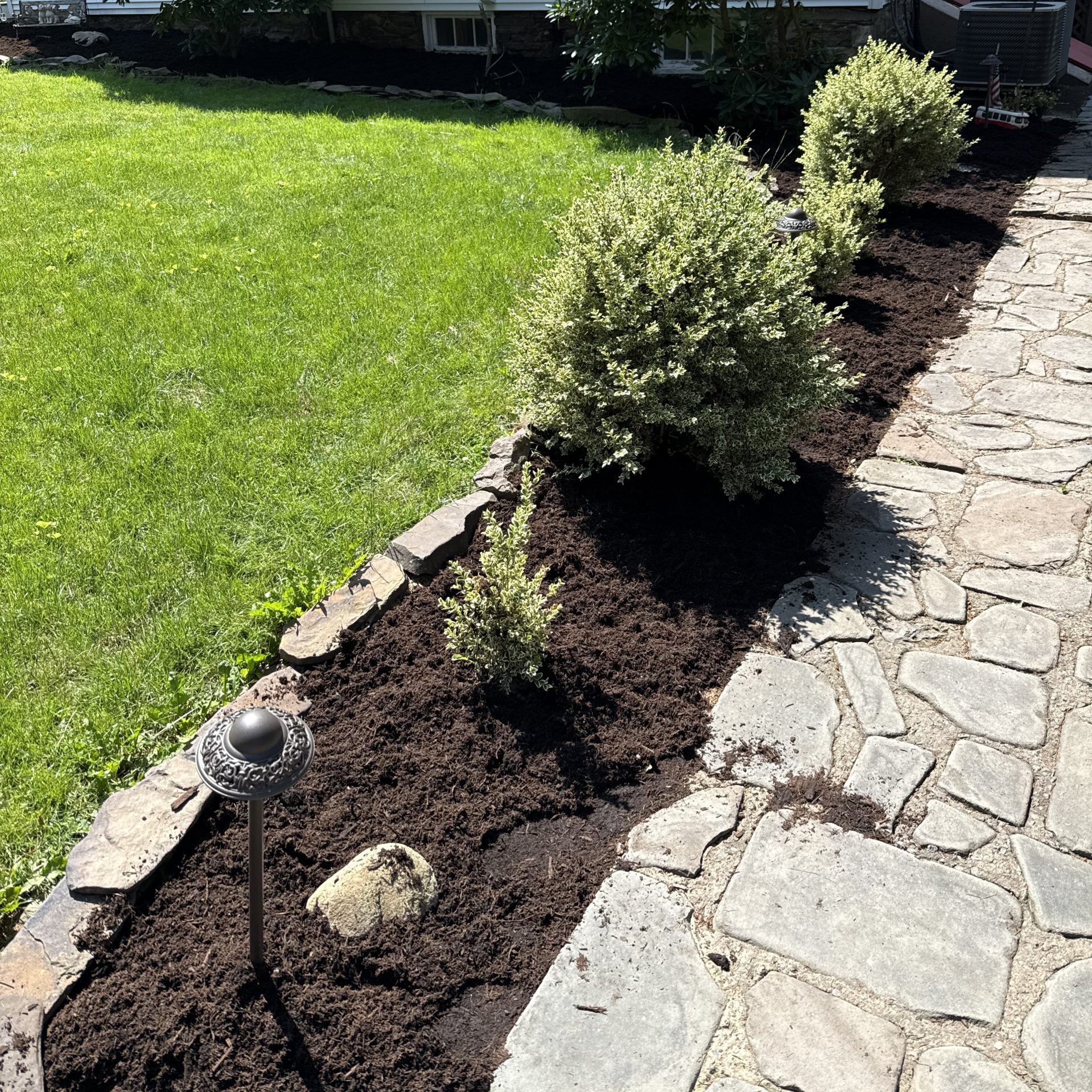 Fresh mulch around shrubs and stone walkway by Justin's Lawn Service